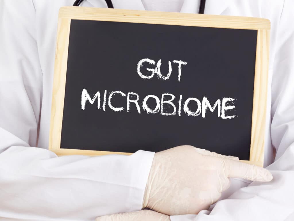 Doctor shows information: gut mircobiome