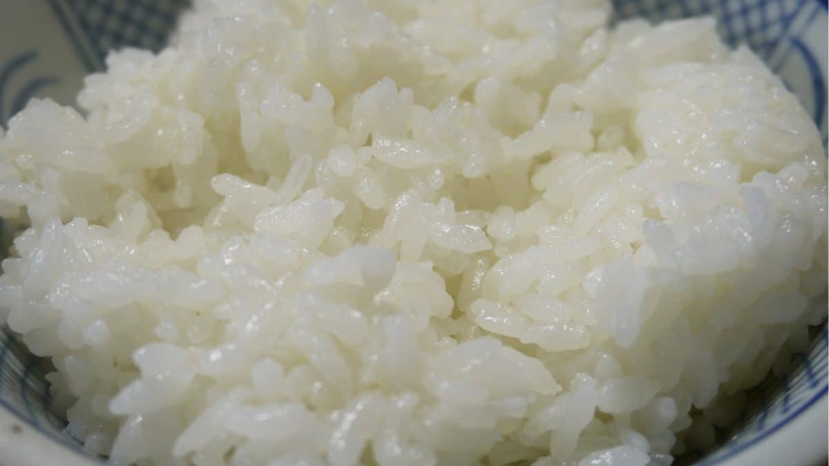 , Is White Rice a Yellow-Light or Red-Light Food?, Dr. Nicolle