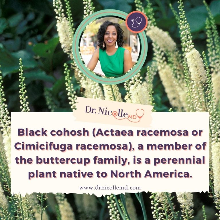 What Is Black Cohosh?